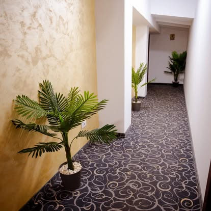 Hol curat și îngrijit în interiorul pensiunii